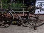 Original phoenix bicycle sale(fress condition)