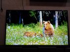 Original Samsung 43" Android TV