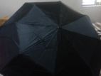 original Sankar's Umbrella for sell