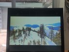 Original Starex Monitor 17"led Full Fass