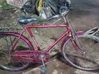 Orijinal Hero 26 Bicycle for sell.