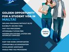 overseas study with cheapest cost