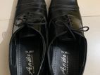 Oxford Shoe