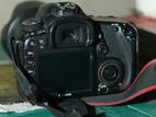 7d Canon Camera