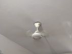 Walton Fan for sale
