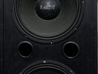 P audio speaker