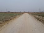 P-Block 2400 Serial 5-Katha South Face Plot Sale