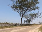P-Block| 3 Katha |Ready Plot Sale in -Bashundhara