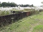 P- Block 3-Katha South Face Plot Sale
