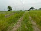 P Block | 5 katha ready plot for sale