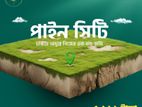 পাইন সিটিতে বিনিয়োগে সুরক্ষিত করুন ভবিষ্যৎ