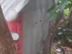 পাখি ও মুরগির খাচা