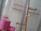 পাখির খাঁচা , Bird Cage