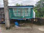 পাখির খাঁচা