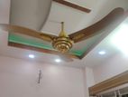 পাকিস্তানি ফ্যান