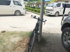 Phoenix Bicycle for sale