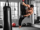 পাঞ্চিং ব্যাক punching back