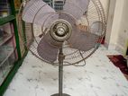 Pak Brand Stand Fan For sale