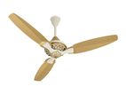 Pakhtun Pasha 52-inch BLDC Inverter Ceiling Fan (