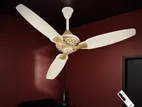 Pakhtun Pasha 52-inch BLDC Inverter Remote control Ceiling Fan