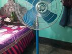 Pakistani Fan