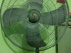 Pakistani GFC (Fan 24'inch)