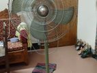 Pakistani Stand Fan