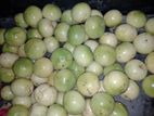 passion fruits for sell