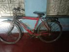 Cycle For Sell