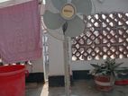 Pedestal stand fan