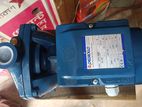 Pedrollo CPm 160B 2 HP pump