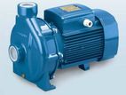 Pedrollo Water Pump, Model-CP220A, 5.5H.P