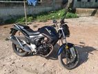 Pegasus EVO 150R 150 2018