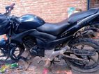 Pegasus EVO 150R . 2022