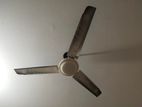 Fan for sale