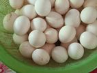 ফাউমি মুরগির বীজ ডিম