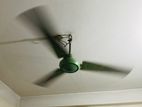 Fan for sell