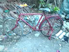 Bicycle for Sale
