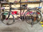 Phoenix Bicycle for Sale