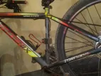 Phoenix Bicycle for sale