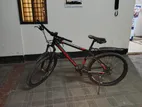 Phoenix Bicycle for Sale