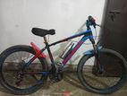 Phoenix Bicycle for sale