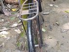 ফনিক্স সাইকেল