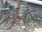 Phoenix Bicycle for sale