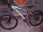 Phoenix Bicycle for sale