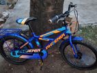 Phoenix 20 size baby cycle