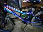 Phoenix 20" Size