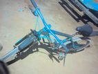 Phoenix 26 Size Cycle