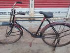 Phoenix Bicycle for sale