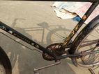 Phoenix Bicycle for sale